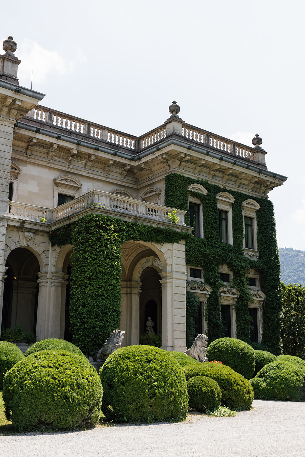 Ground-level view of Villa Erba's neoclassical stone facade, one wing covered in lush climbing ivy, with rounded topiary bushes in the formal garden foreground and stone lion statues flanking the entrance